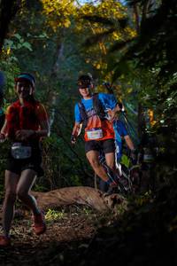 BIB: 2904
                            <button type="button" onclick="openModal(19233872)" class="btn btn-primary btn-sm float-right btn-popup" data-toggle="modal" data-target=".modal-high-quality">
                        <i class="fas fa-shopping-cart"></i> Add to Cart
                    </button>
                                            <button type="button" onclick="isThisMe(19233872, true)" class="btn btn-success btn-sm float-right btn-popup btn-isme hidden" data-toggle="tooltip" data-placement="bottom" title="นี่คือรูปของคุณใช่ไหม คลิกที่นี่เพื่อเอาเข้าอัลบั้ม">
                        <i class="fas fa-plus"></i> Add to album
                    </button>
                    <button type="button" onclick="isThisMe(19233872, false)" class="btn btn-warning btn-sm float-right btn-popup btn-isnotme hidden">
                        <i class="fas fa-ban"></i> Remove from album
                    </button>